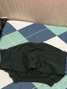 Zara Crop Green Dark Sweat Shirt