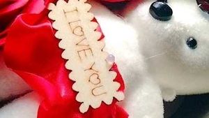 Teddy Bear &amp; Rose Gift Set