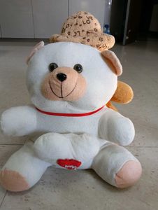 Combo Cute Teddy Bear Collection
