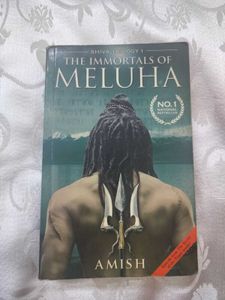 2 Novels Of Amish &amp; Sidney Sheldon