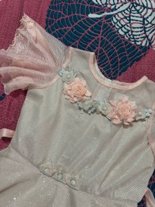 Sparkly Dress