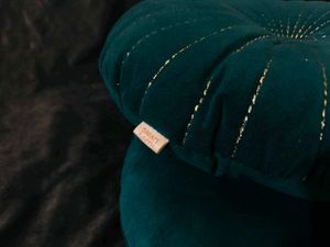 HAPPY LIVING BRAND CUSHION