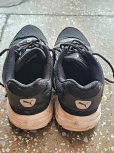 Original Puma Sports Shoes For Girls