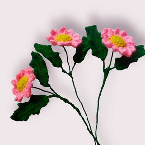 Crochet Daisy Flowers