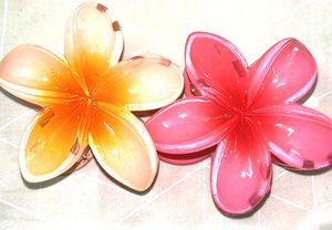Beautiful Floral Resin Hair Clips