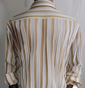 Striped Button-Down Shirt