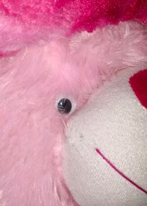 Teddy Bear Or Stuffed Toy