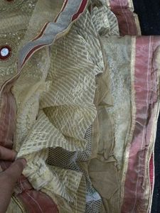 Elegant Embroidered Ethnic Skirt