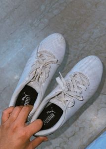 Puma Sneakers Bmw Motorsport