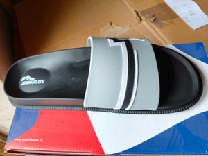 Stimulus Racing Slides