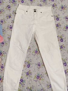 Pure Cotton Pant For Women
