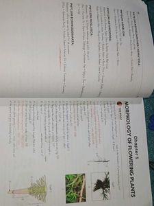 🛑 Biohack ( For Class 11&amp;12)