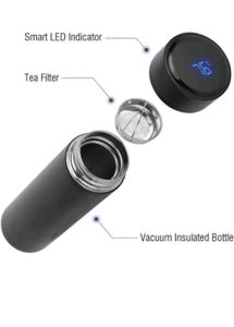 TEMPERATURE DISPLAY WATER BOTTLE