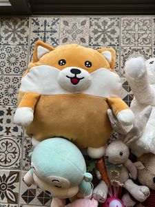 Combo of 10 Stuff Toys