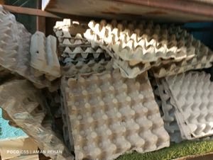 Around 115 Egg Crates