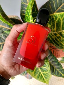 Giorgio Armani Si Passione EDP Intense 🥀