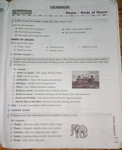 Bravia Fundamental Grammar Book