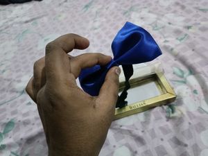 Blue Bow Tie