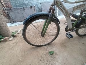 Bicycle ❤️❤️