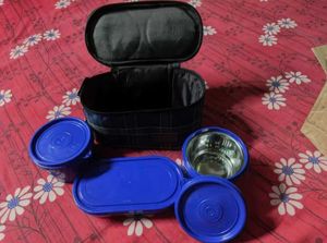 Milton brand Microwave Leak Proof Insulated Lunch