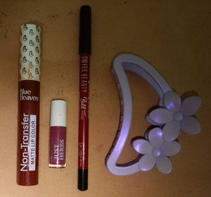 Cosmetic Bundle (lipstick, lipliner and claw clip)
