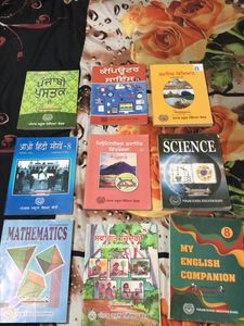 PSEB Class 8th All Books