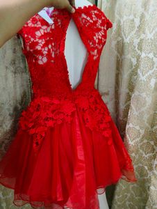 Red Lace Mini Dress