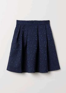 H&M Pleated Skirt