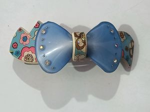 One Back Clips And 1 Banana Clip