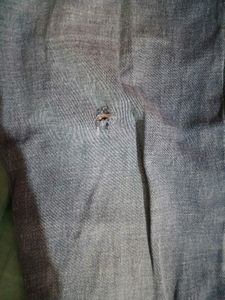 Ladies Jeans Slightly Torned