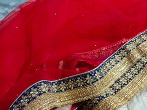Elegant Lehenga Choli with Dupatta