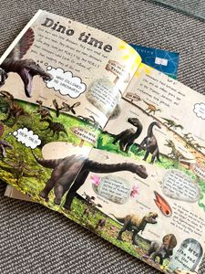 Kids Animal Book Set