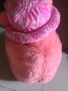 Pink Teddy Bear