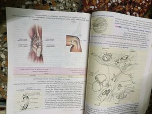 Class 9 Biology S Chand Book
