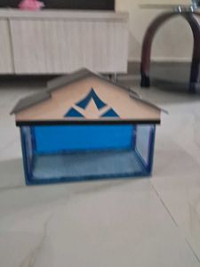 An Aquarium