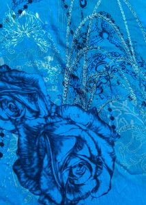 Miss Stylviz Women Blue Floral Graphic Printed Top