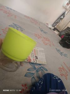 Self Water Plant Pot