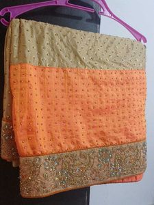 Elegant Embellished Saree