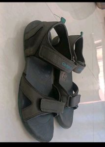 Campus Sandal for Men