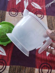 Citrus Juicer