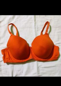 Clovia 42 B