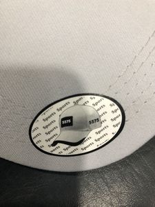 Puma Cap Grey