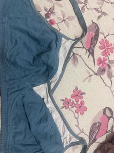 Dressberry Casual Blue Bra, Bust- 38 C