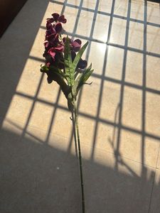 Burgundy Artificial Flower Stem