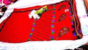 Bridle Saree