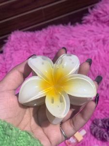 Cute Hair Accessory Bundle