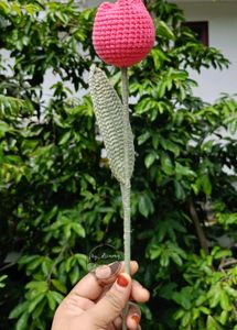 Closed Tulip Flower (1)