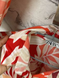 Any Occasion Friendly