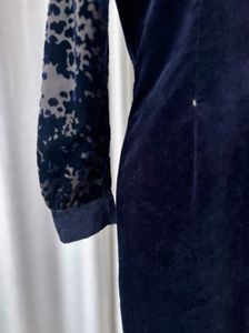 Korean Velvet Dress