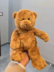 Cute Brown Teddy Bear